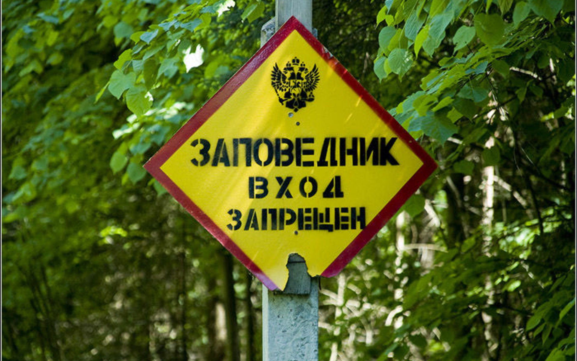 Заповедная зона картинки