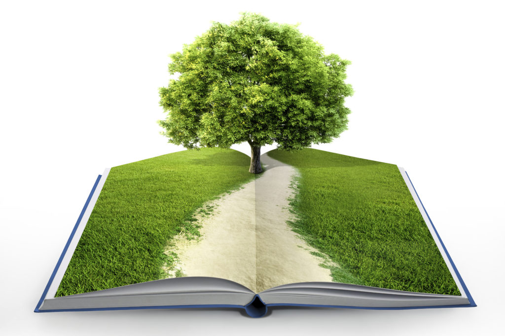 Инструкция по организации процесса сбора макулатуры