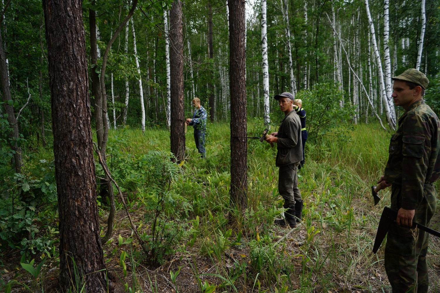 Охрана лесов в россии. Охрана леса. Защита лесов. Охрана лесных массивов. Предмет охраны леса.