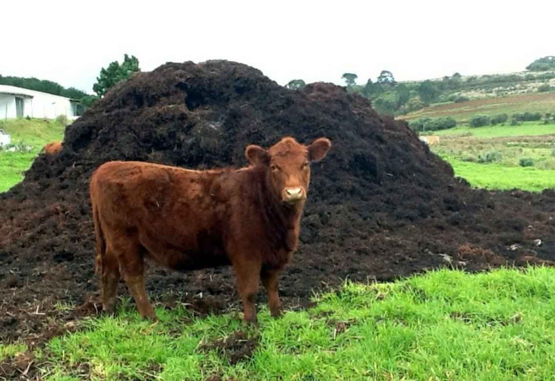 Отходы животноводства