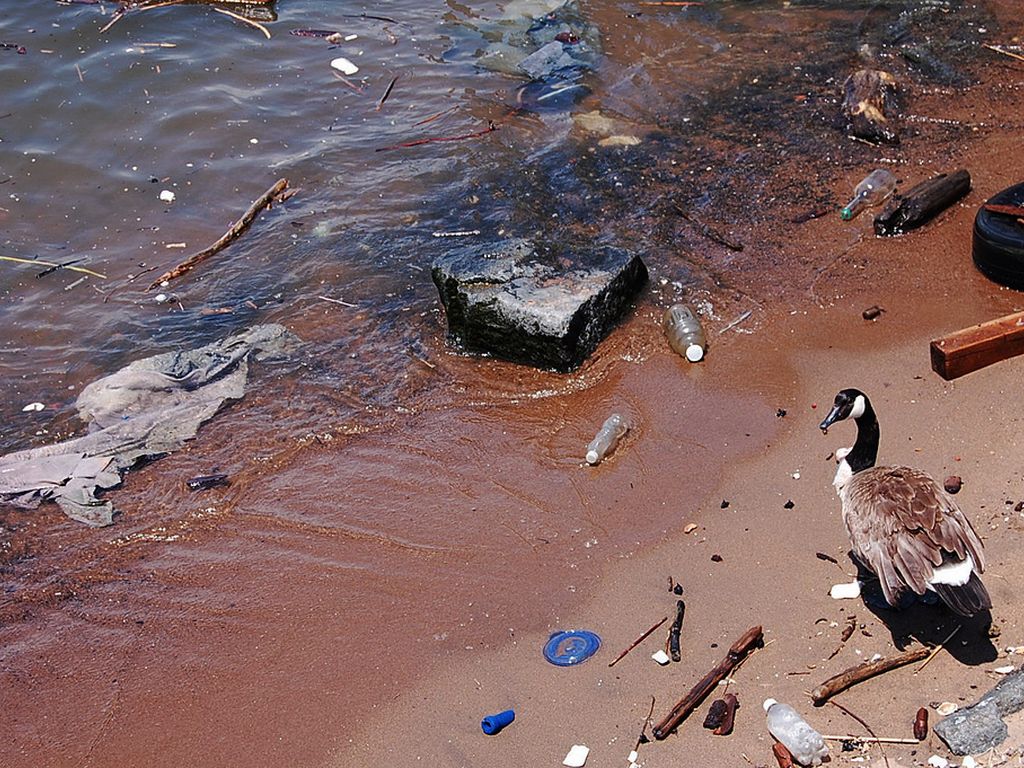 Загрязнение близлежащих водоемов