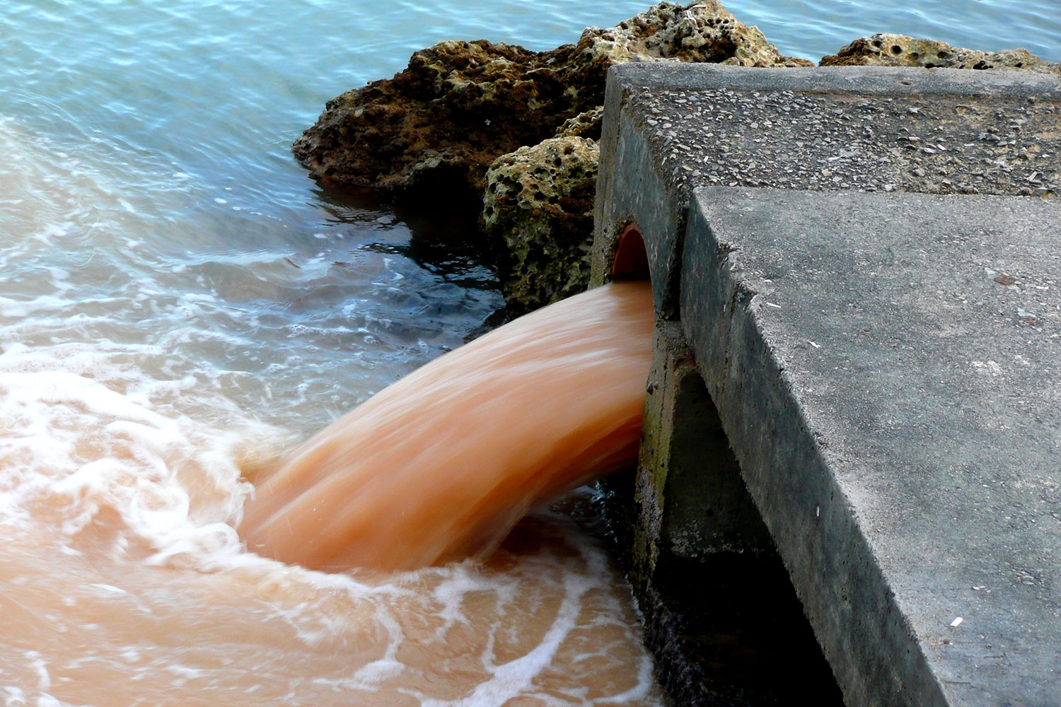 Загрязнители воды картинки