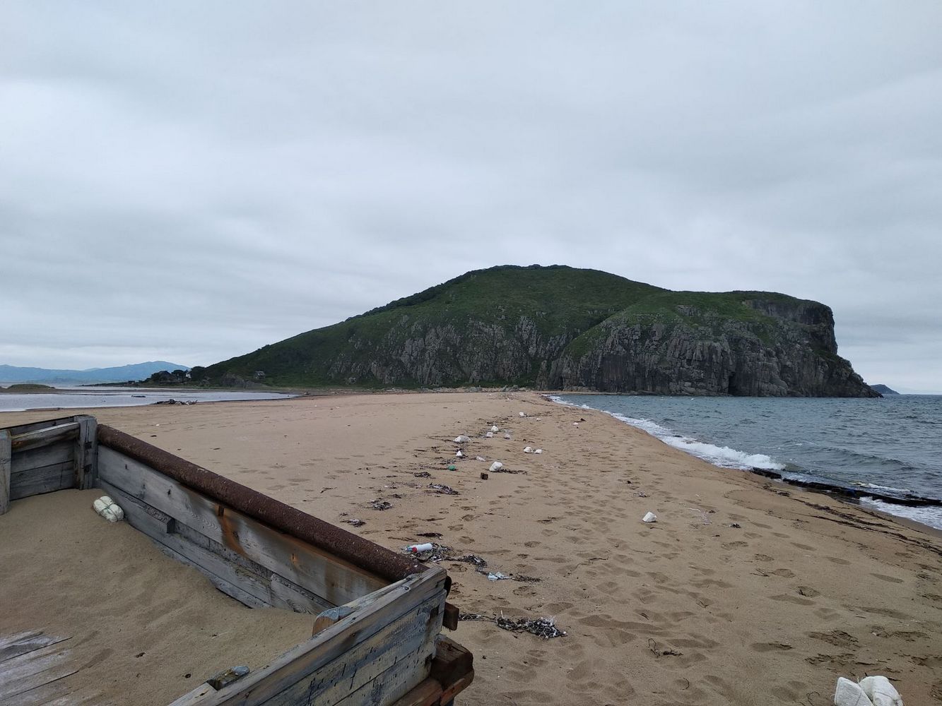 загрязненное побережье японского моря